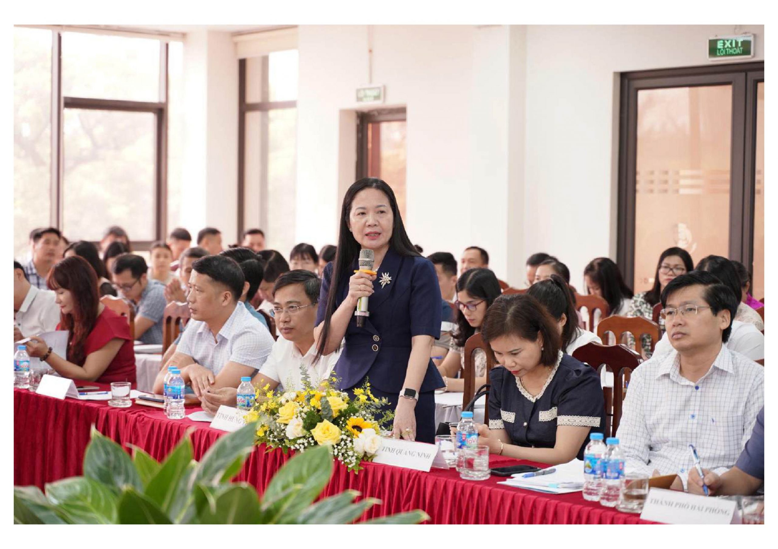 Hệ thống D-IONE